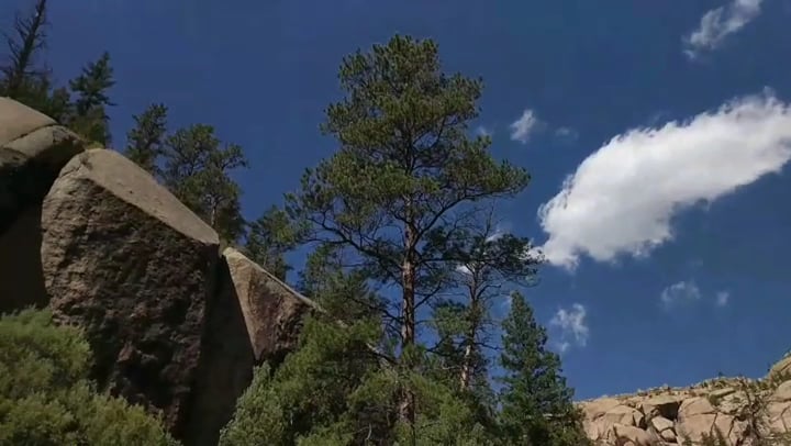 Interior view of Cheesman Canyon