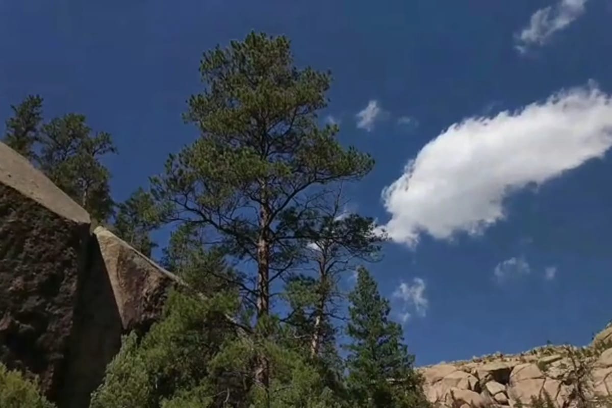 Interior view of Cheesman Canyon
