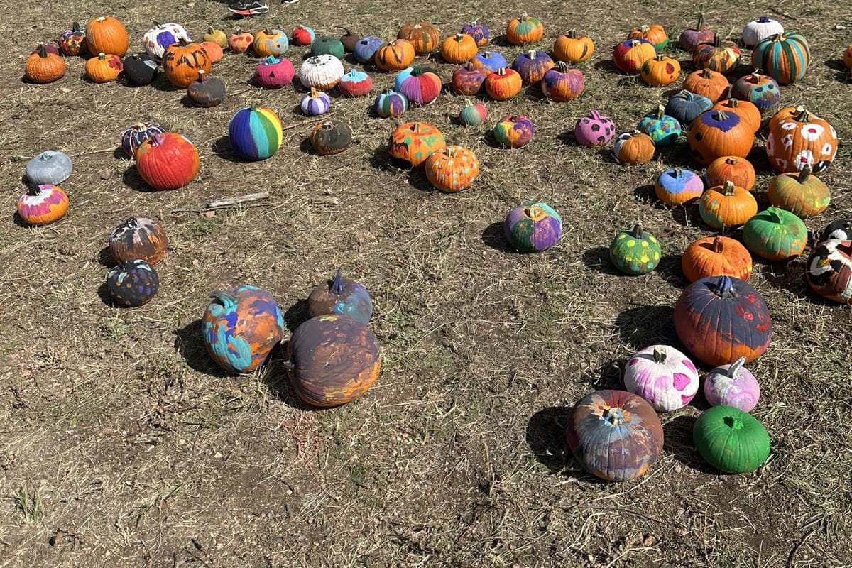 Painted pumpkins spread across the grass at the Douglas County Fall Festival