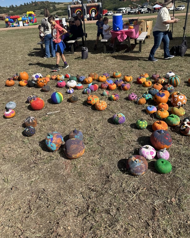 Painted pumpkins spread across the grass at the Douglas County Fall Festival