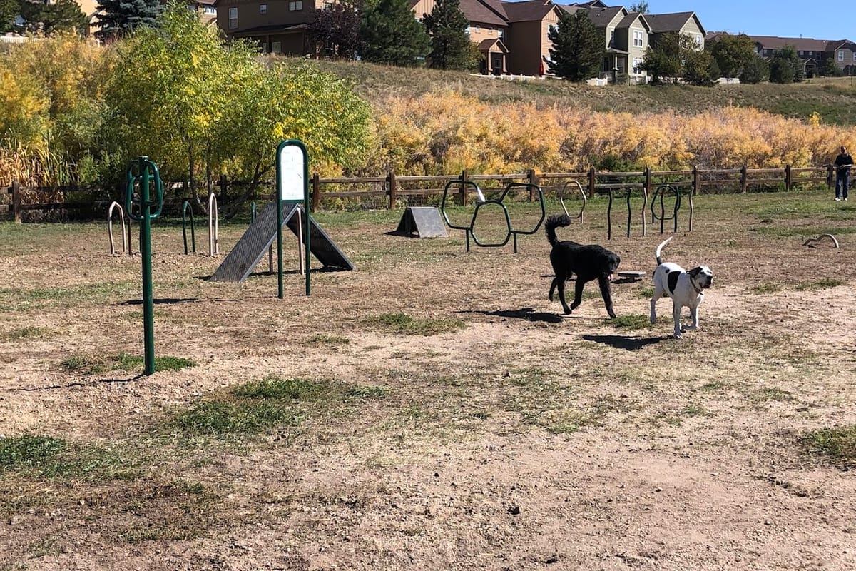 Wiggly Field Dog Park atmosphere and seating