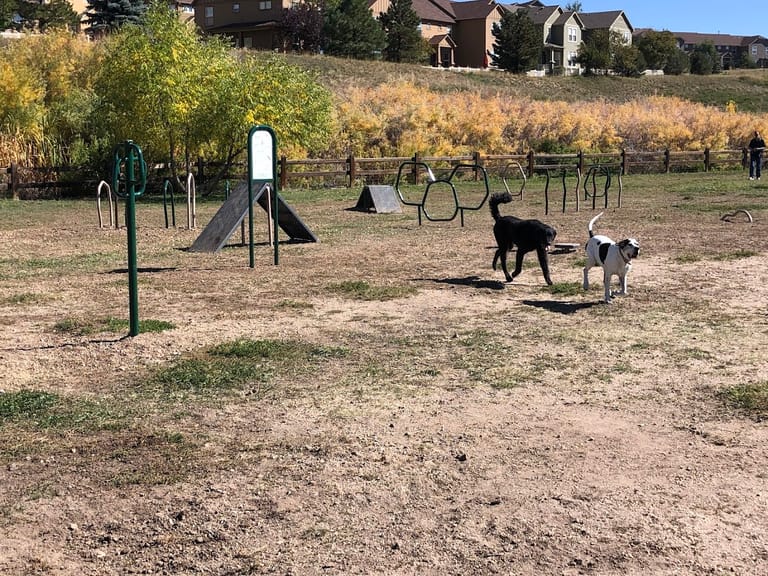 Wiggly Field Dog Park atmosphere and seating