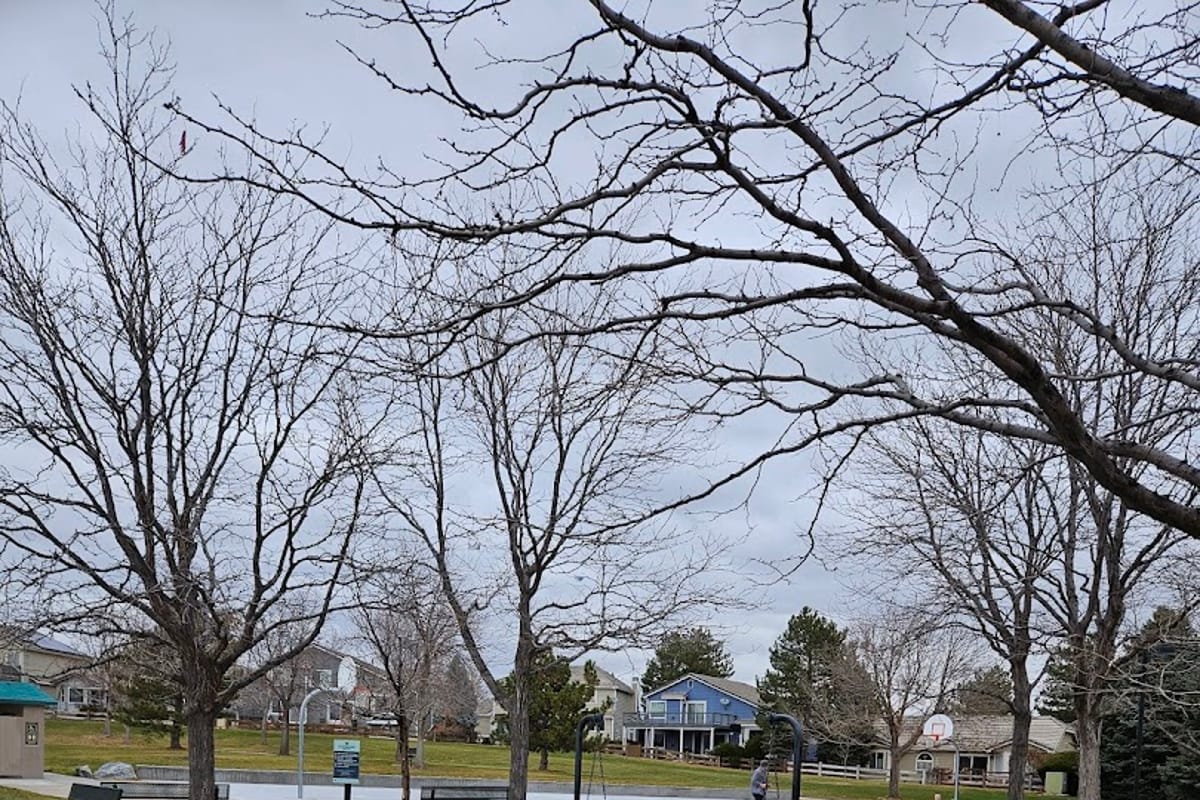 Plum Valley Park dining area