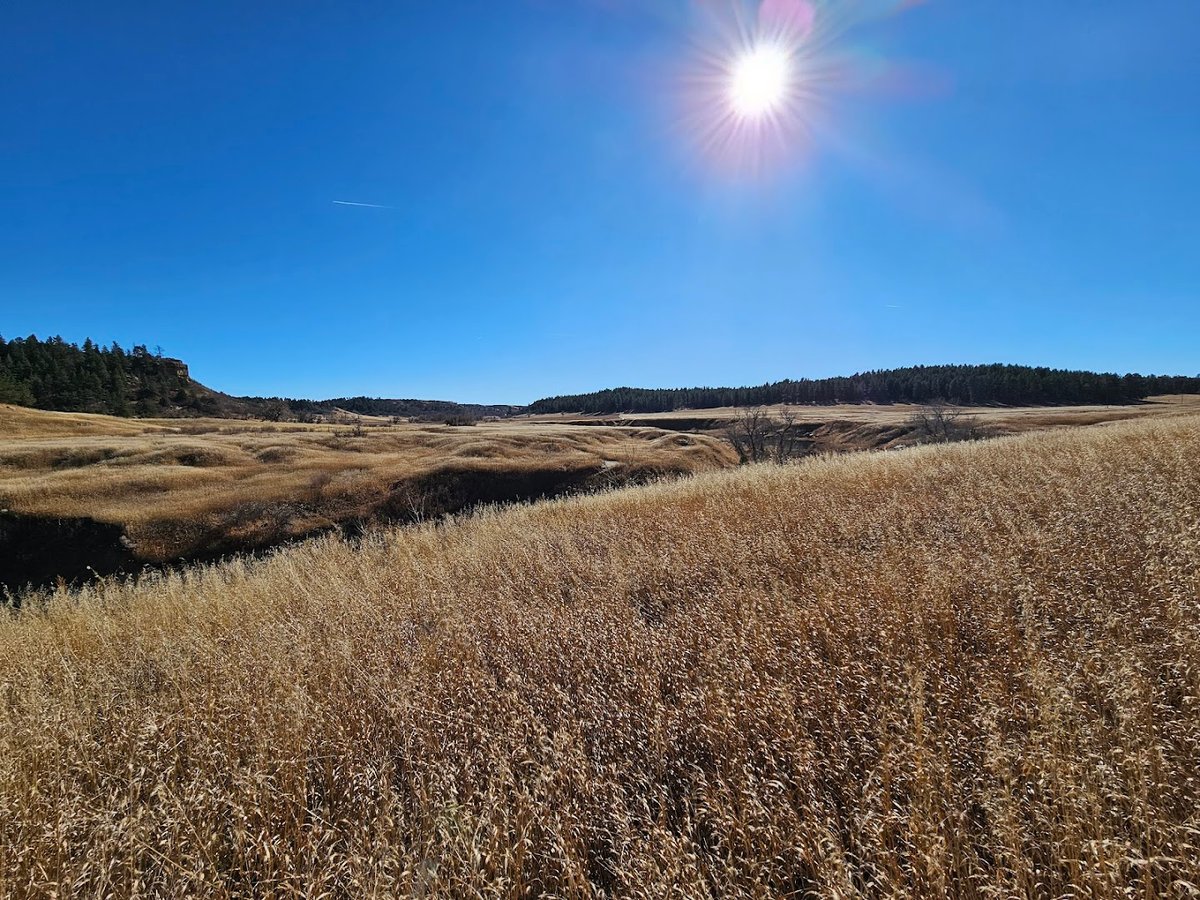 Falls Spur featured offerings