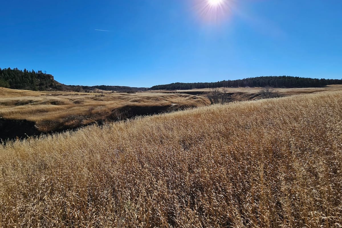 Falls Spur featured offerings