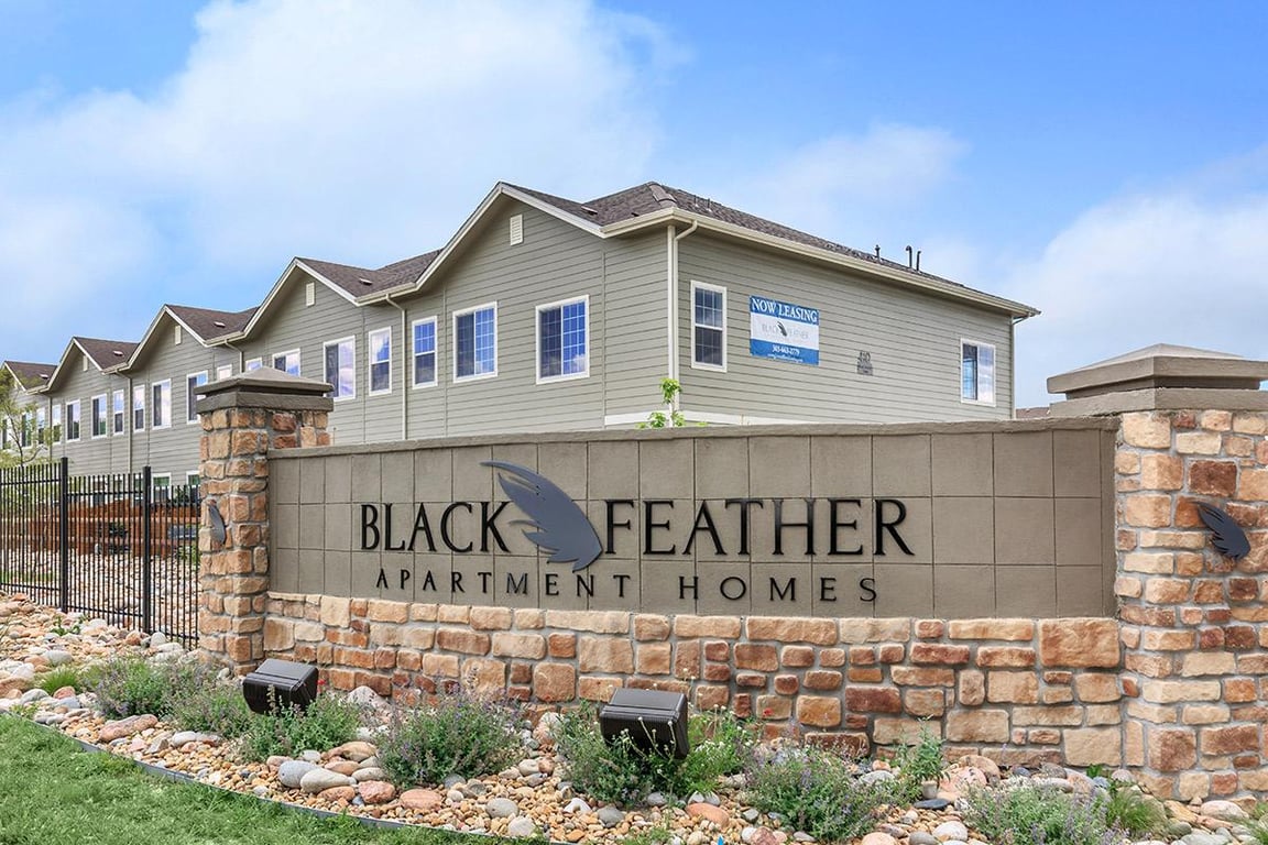 Black Feather
