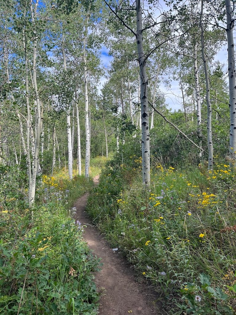 Indian Creek Trailhead featured offerings