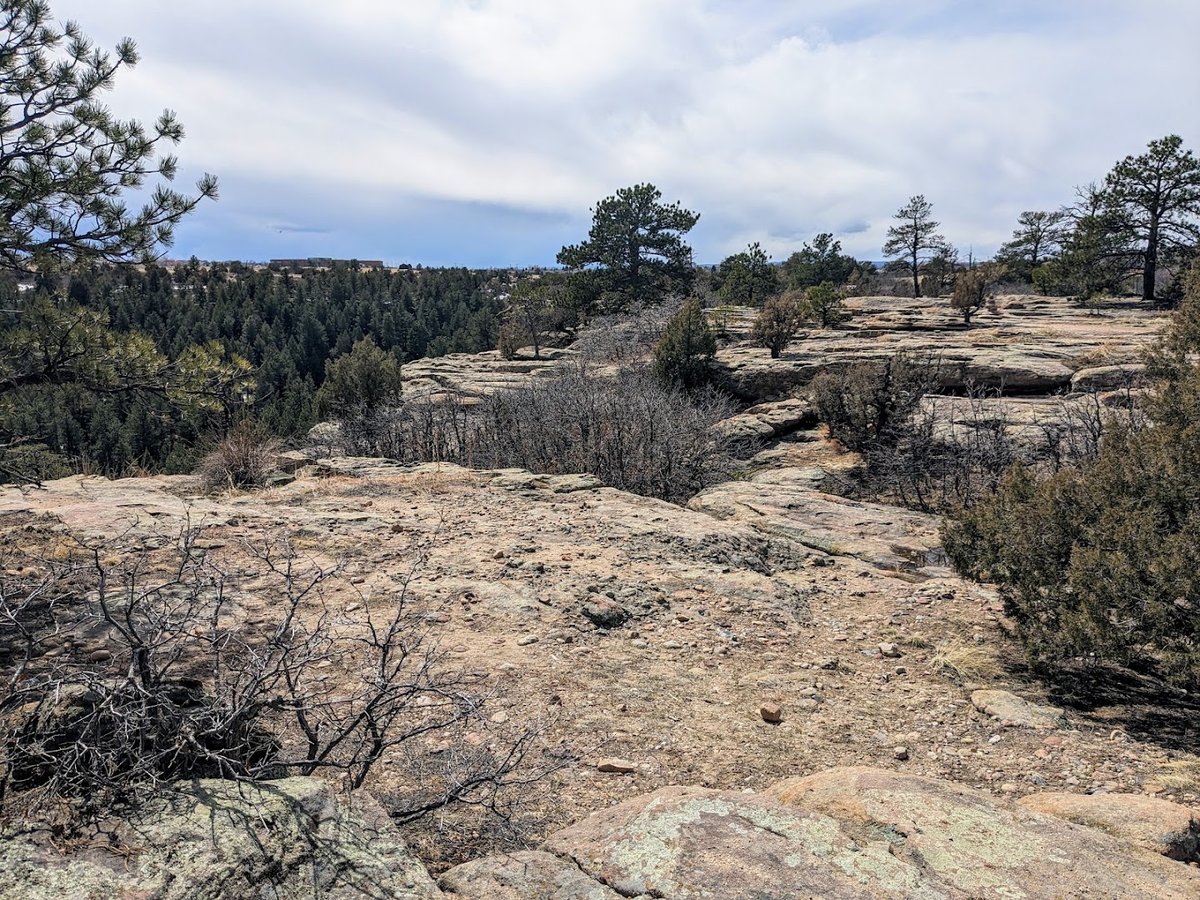 Gateway Mesa Open Space featured offerings