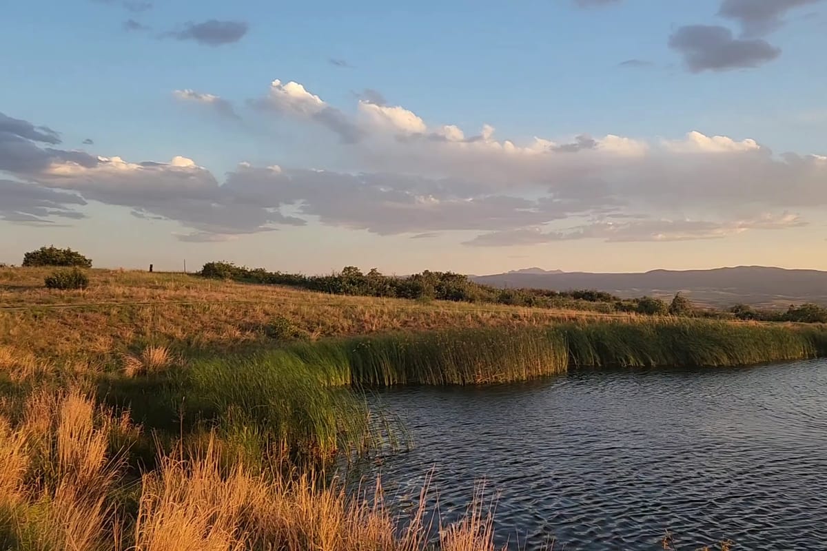 Interior view of Windmill Pond