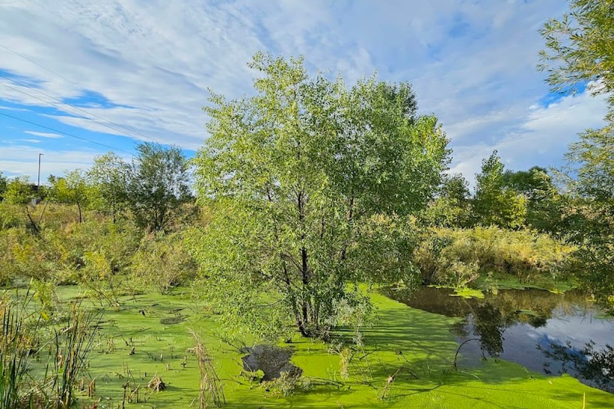 Sulphur Gulch Trail featured offerings