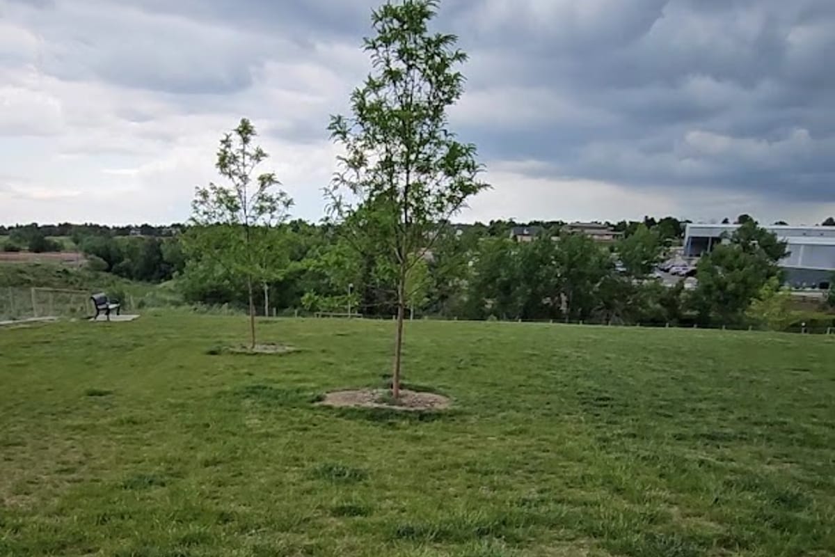 David Lorenz Dog Park exterior entrance