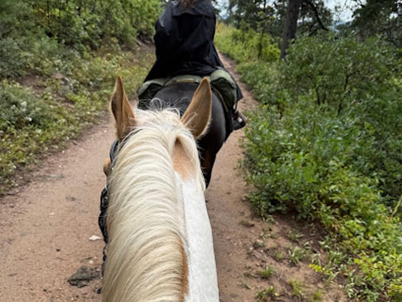 Indian Creek Campground park in Sedalia, Colorado