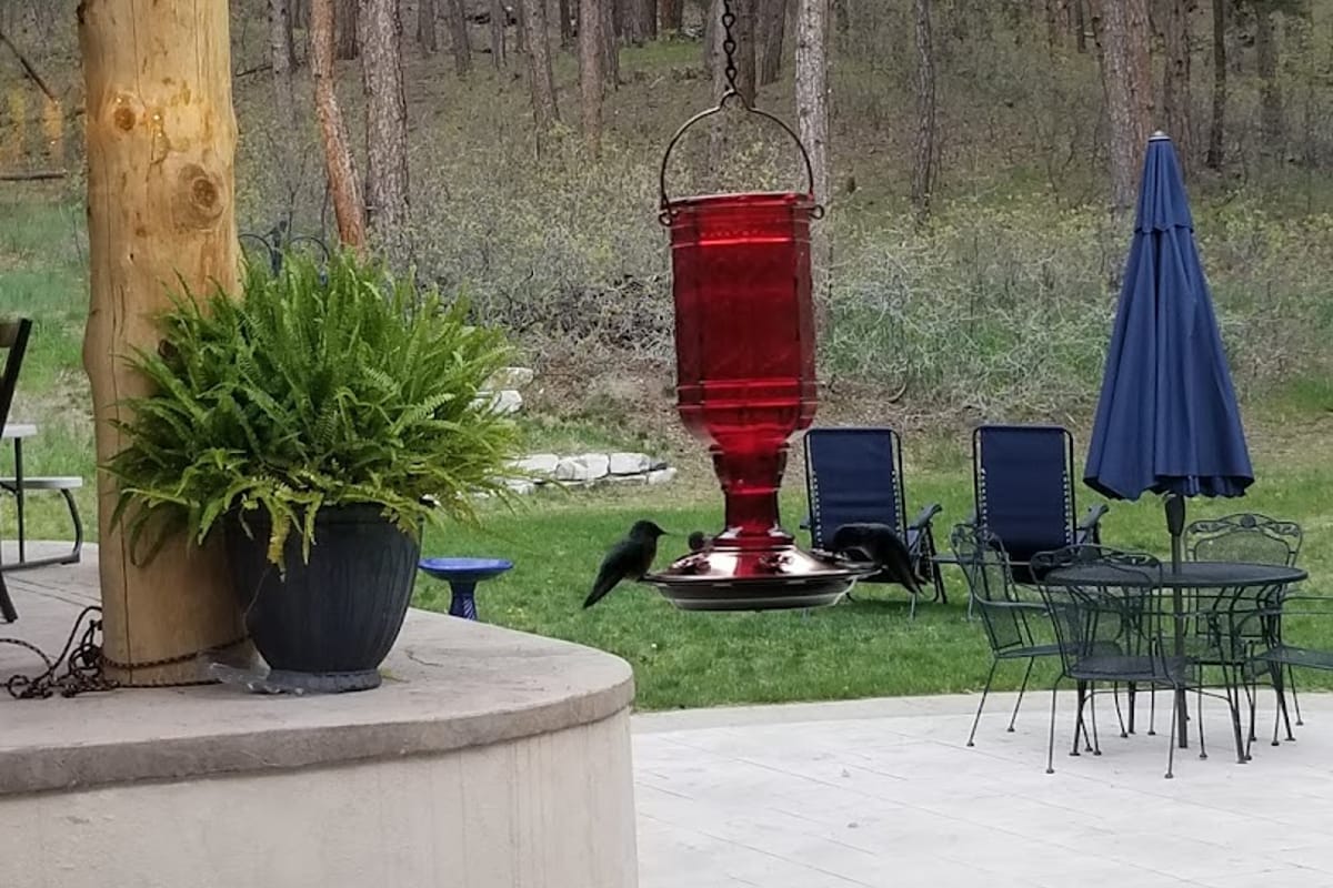 Serenity Ridge Acres featured offerings