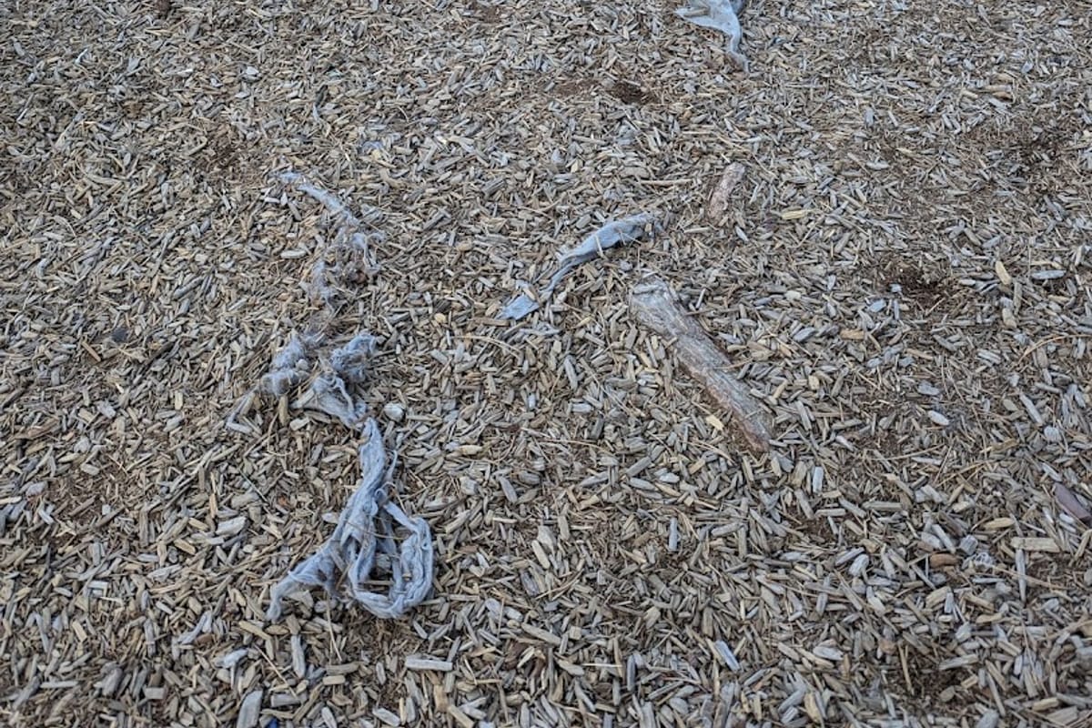 Hidden River Playground featured offerings