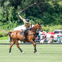 Denver Polo Club event venue in Sedalia, Colorado