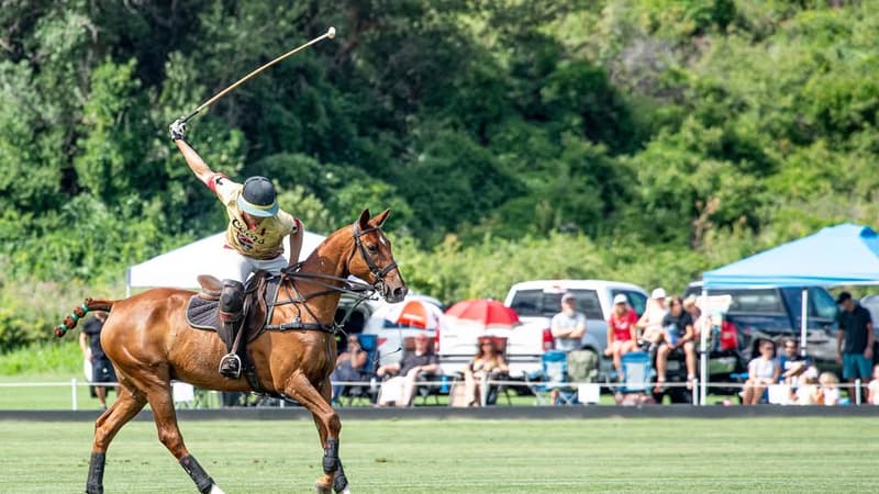 Denver Polo Club x Tiny Table Summer Dinner (September) at Denver Polo Club