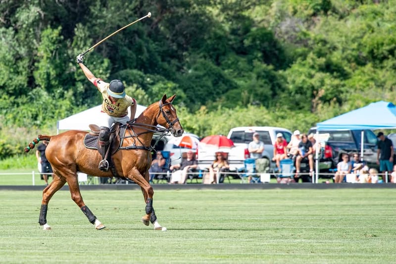 Denver Polo Club event venue in Sedalia, Colorado