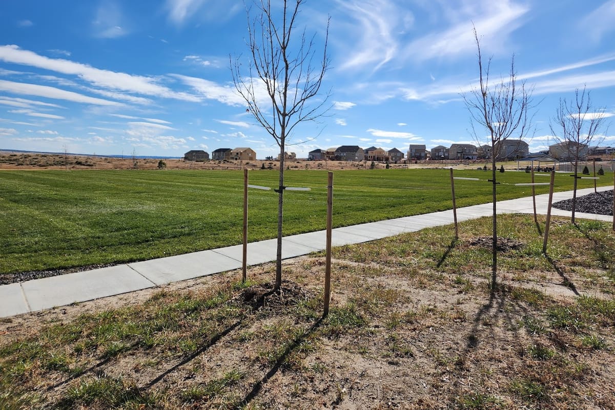 Crowfoot Valley Big Park atmosphere and seating