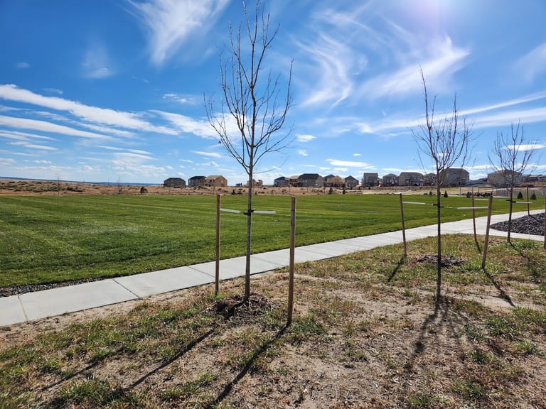 Crowfoot Valley Big Park atmosphere and seating