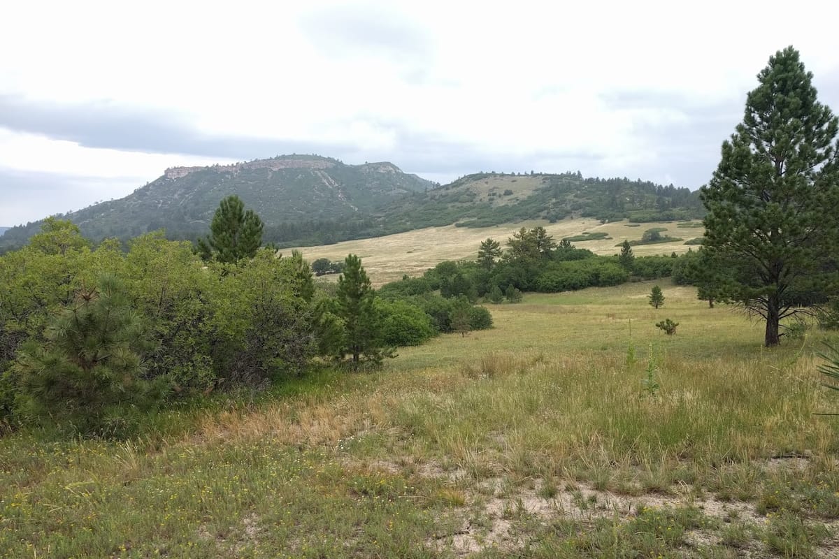 Dawson Butte Ranch Open Space Trail atmosphere and seating