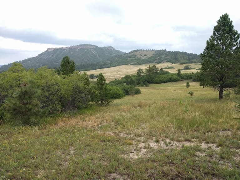 Dawson Butte Ranch Open Space Trail atmosphere and seating