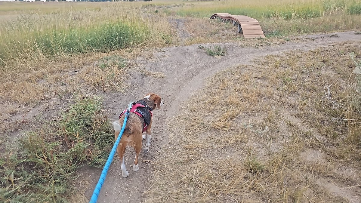 Bayou Gulch Bike Park atmosphere and seating