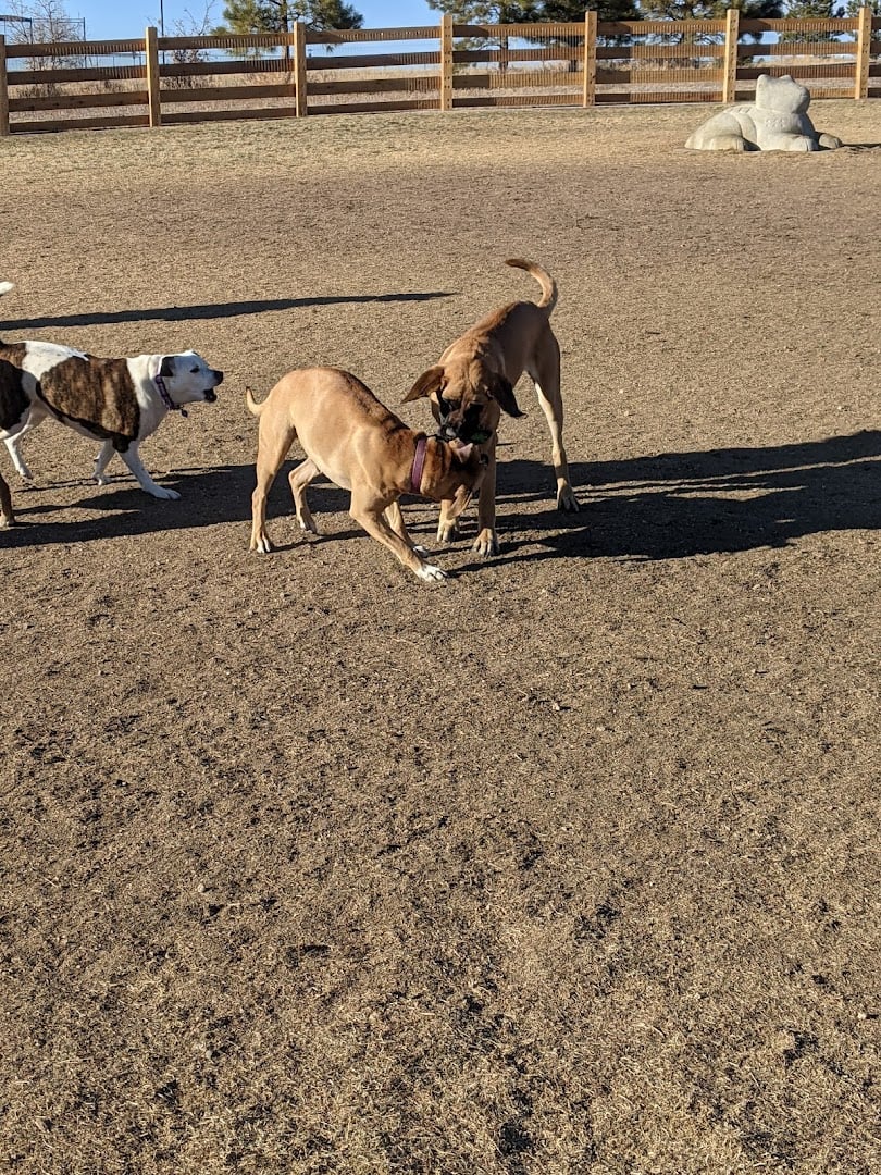 Bayou Gulch Dog Park dining area