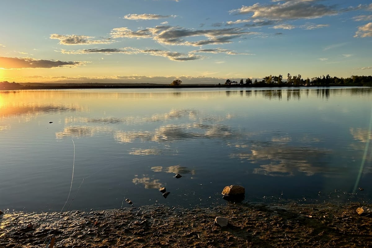 Bingham Lake featured offerings