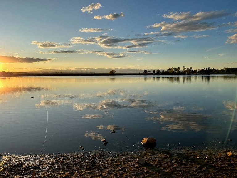 Bingham Lake featured offerings