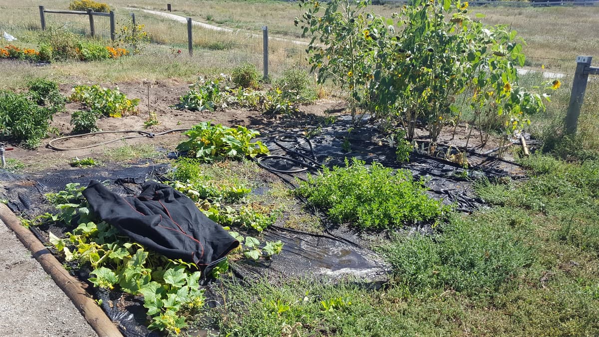 Farmers Community Garden park in Highlands Ranch, Colorado