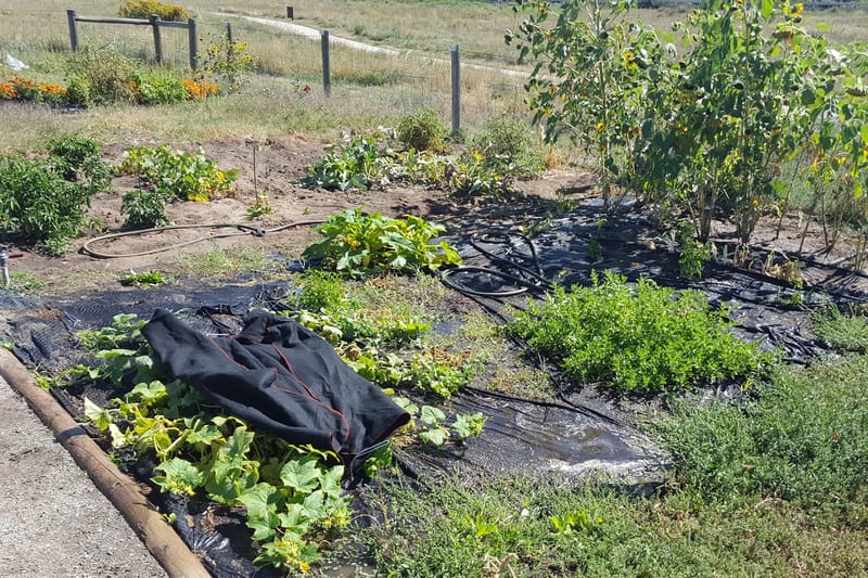 Farmers Community Garden park in Highlands Ranch, Colorado