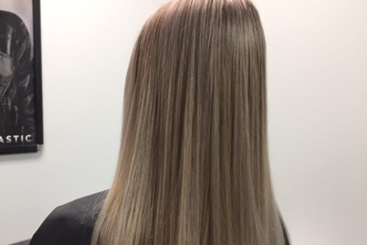 Color Royale featured offerings