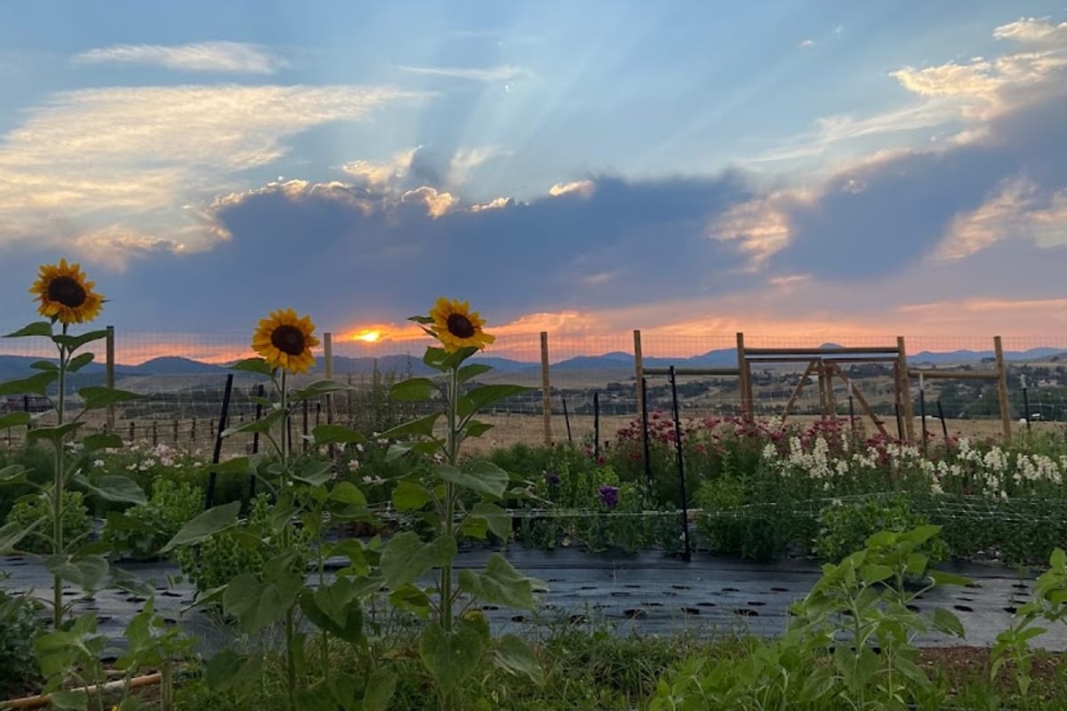 Rustic Rose Flower Farm & Design exterior entrance