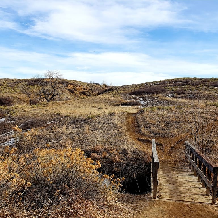 Northridge Park featured offerings