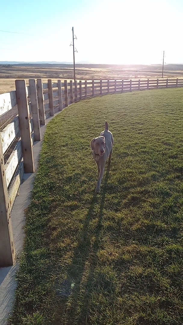 Interior view of Bayou Gulch Dog Park
