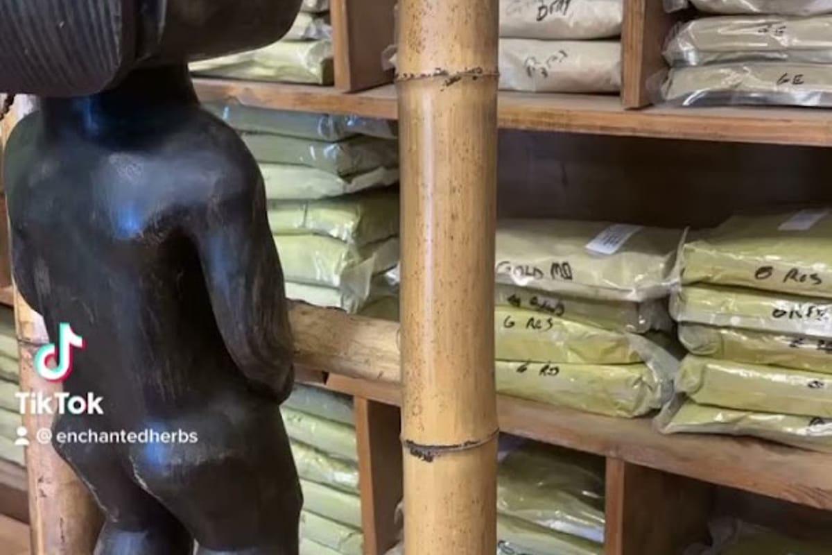 Interior view of Enchanted Herbs Tea & Kratom - Best Herbal Medicine Store