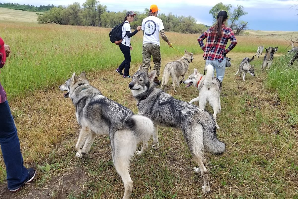 Palmer Ranch Divide Trail featured offerings