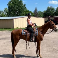 Stockton's Plum Creek Stables attraction in Littleton, Colorado