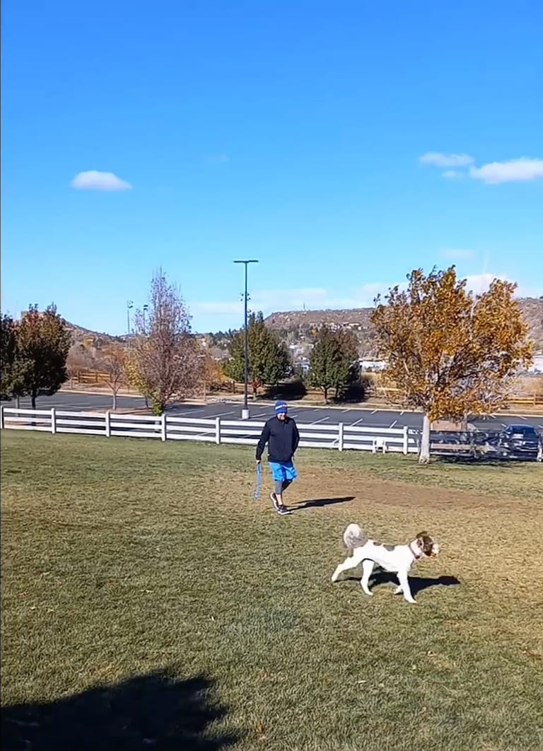 Interior view of Douglas County Off-leash Area