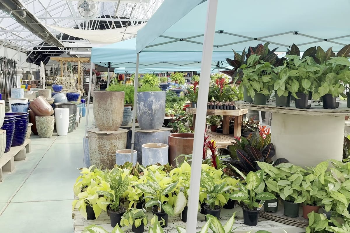 Interior view of The Gardens Garden Center