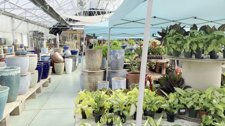 Interior view of The Gardens Garden Center