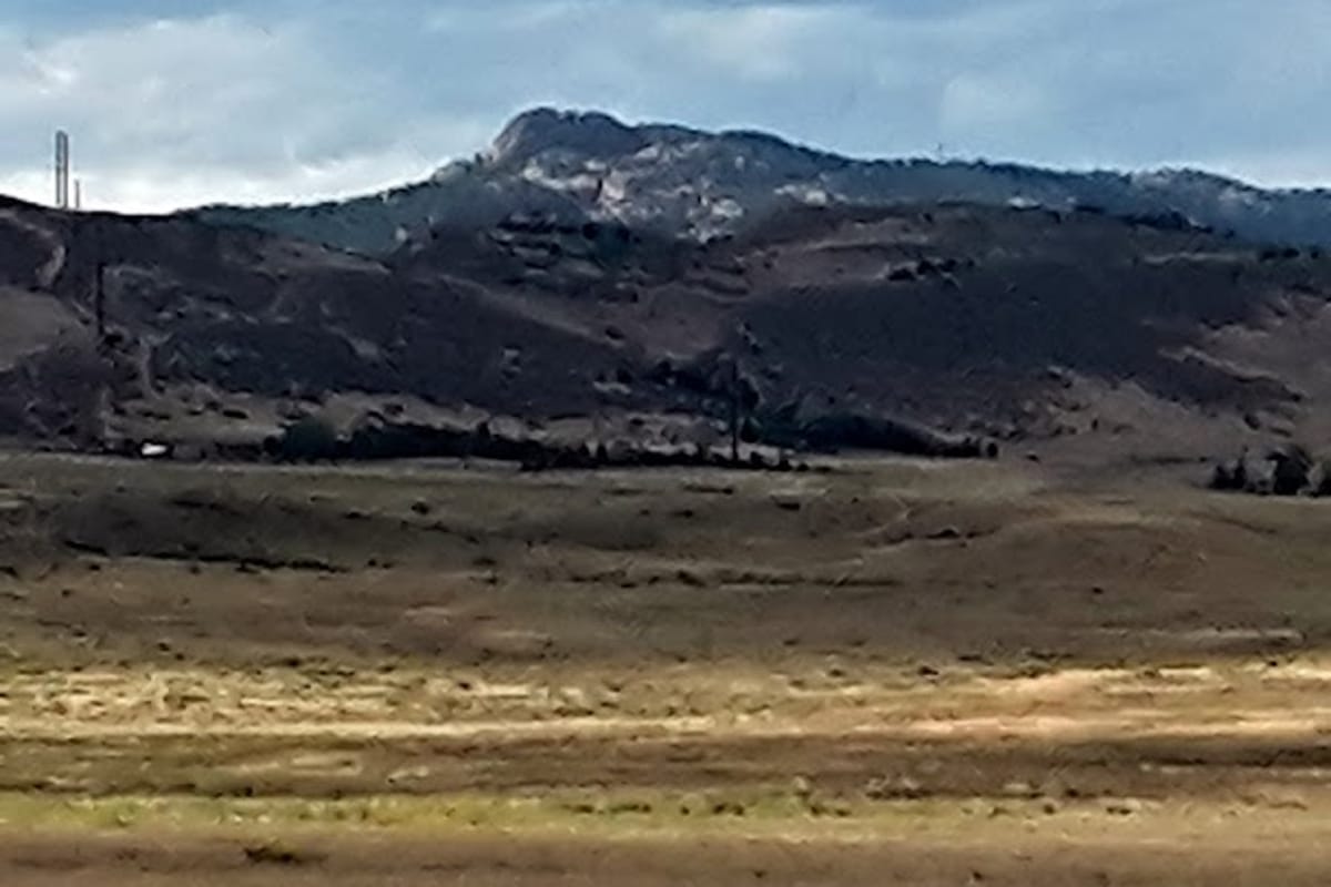 Coyote Ridge Park featured offerings