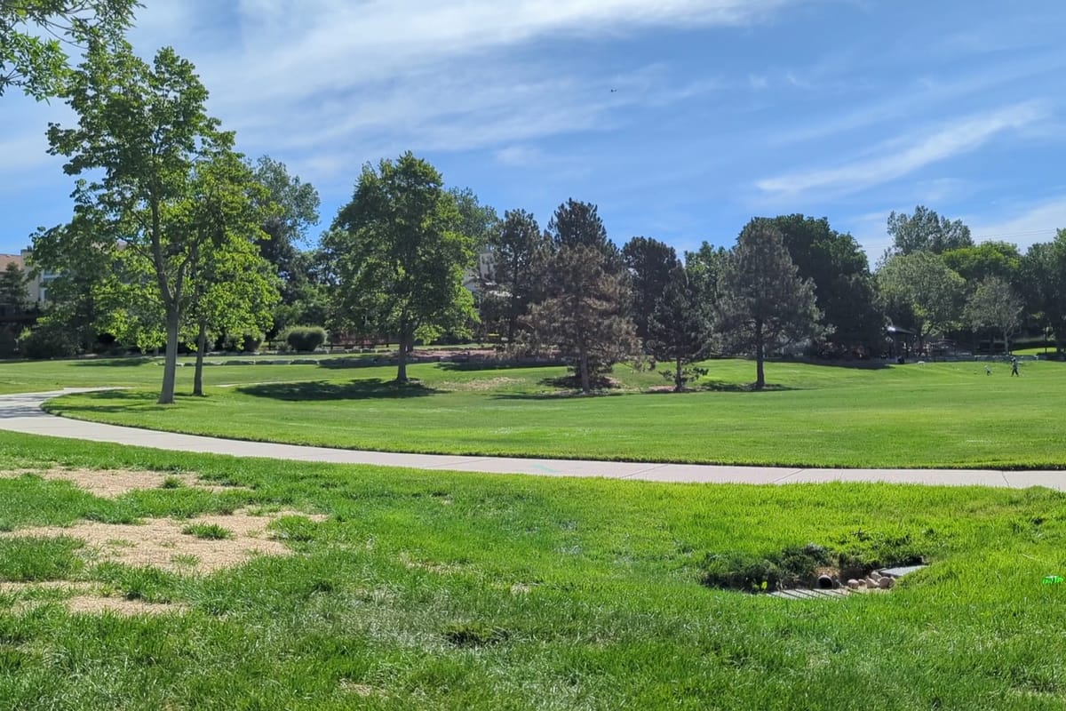 Interior view of Timberline Park