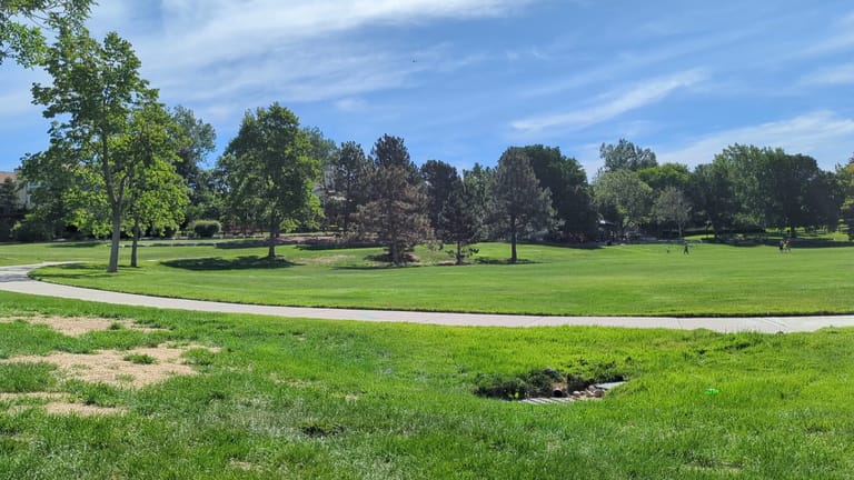 Interior view of Timberline Park