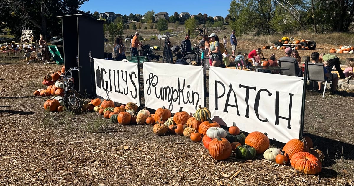 The hand-painted Gilly's Pumpkin Patch banner lined with pumpkins in Castle Rock, Colorado