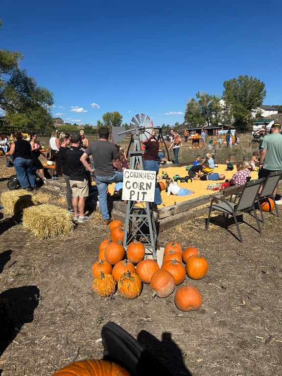 The Corinne's Corn Pit sign beside a pile of pumpkins at Gilly's Pumpkin Patch