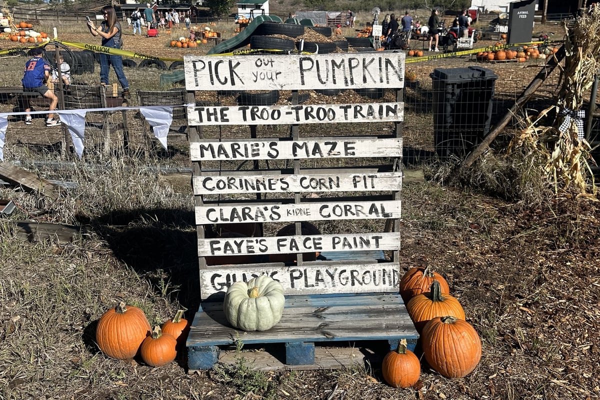 The Gilly's activity sign listing Pick Out Your Pumpkin, The Troo-Troo Train, Marie's Maze, Corinne's Corn Pit, Clara's Kiddie Corral, Faye's Face Paint and Gilly's Playground