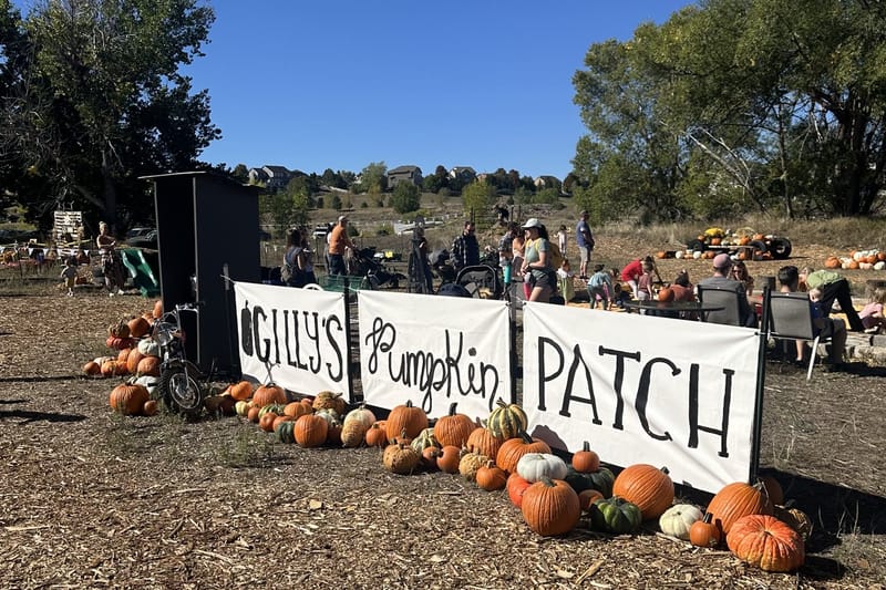 The hand-painted Gilly's Pumpkin Patch banner lined with pumpkins in Castle Rock, Colorado