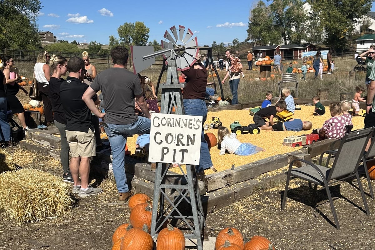 Kids playing in Corinne's Corn Pit at Gilly's Pumpkin Patch