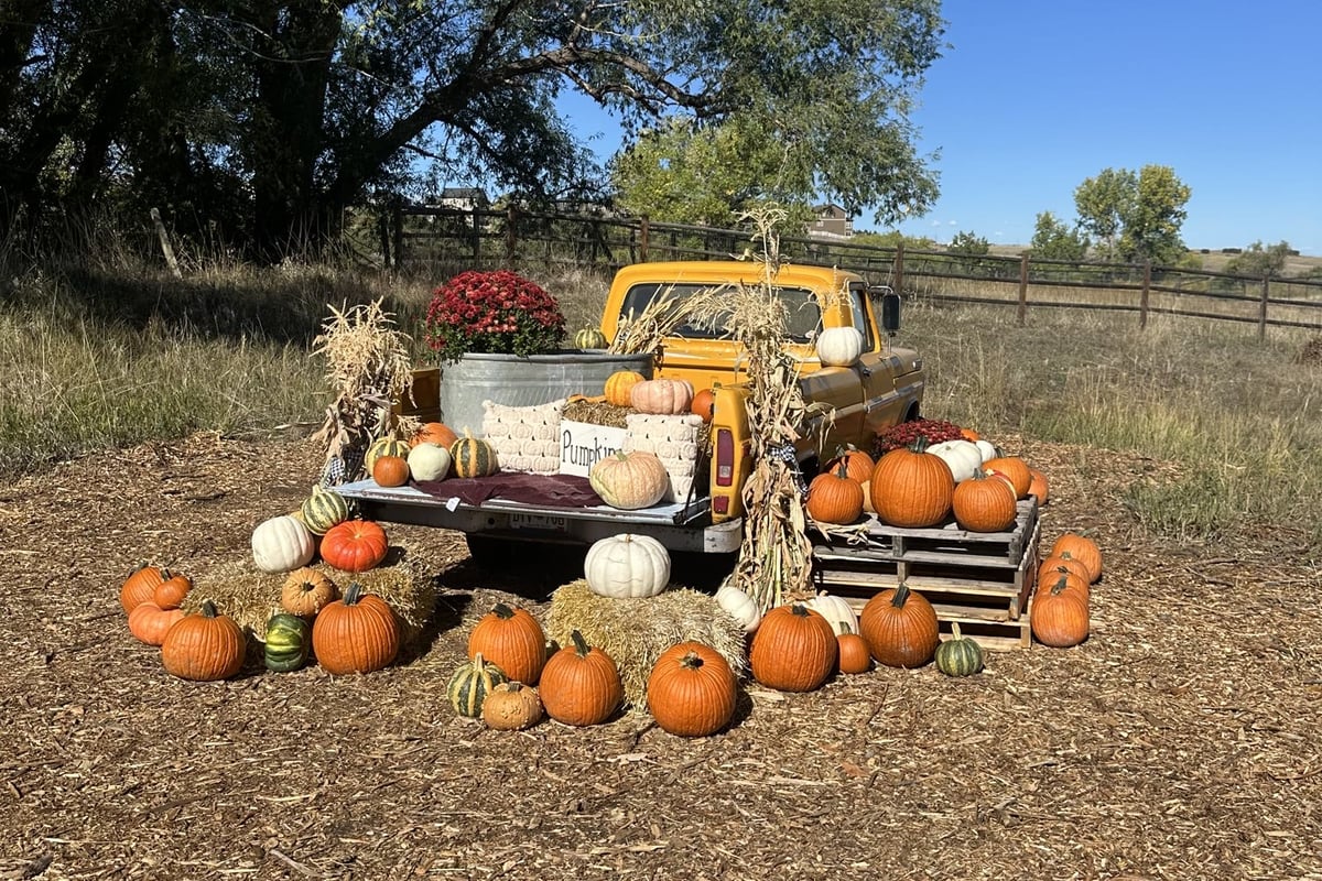 The vintage yellow pickup photo station surrounded by pumpkins and hay bales at Gilly's Pumpkin Patch